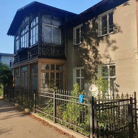 Baltic Swans - Sopoty