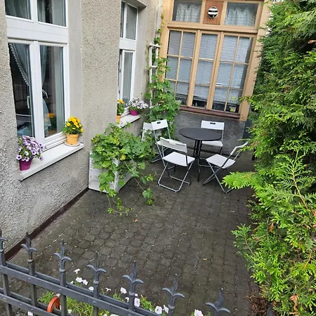 Baltic Swans - * Sopoty