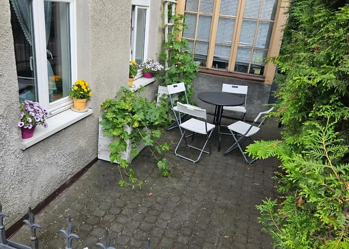 Baltic Swans - * Sopoty