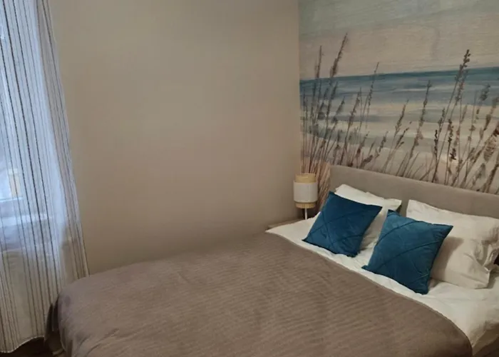 Baltic Swans - Sopot